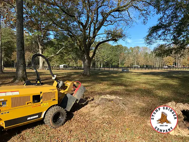 Cumming GA Stump Grinding