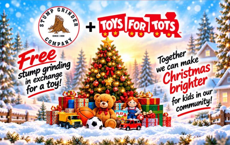 Toys for Tots